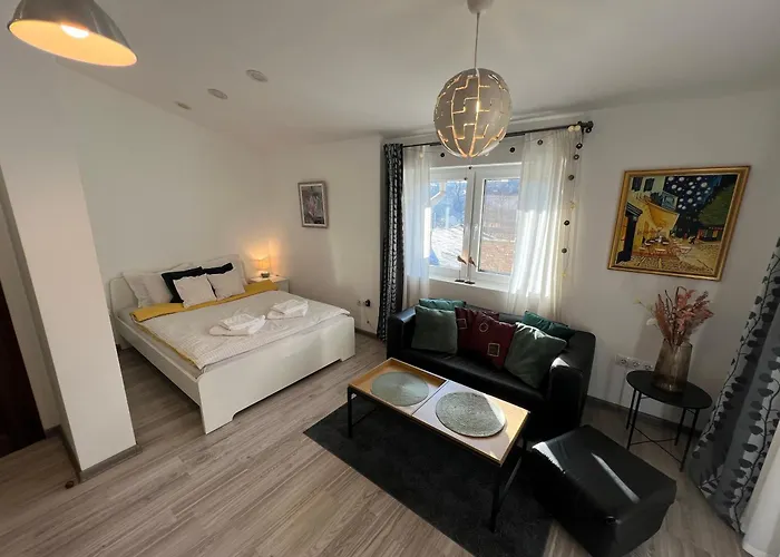 The Yellow House In *